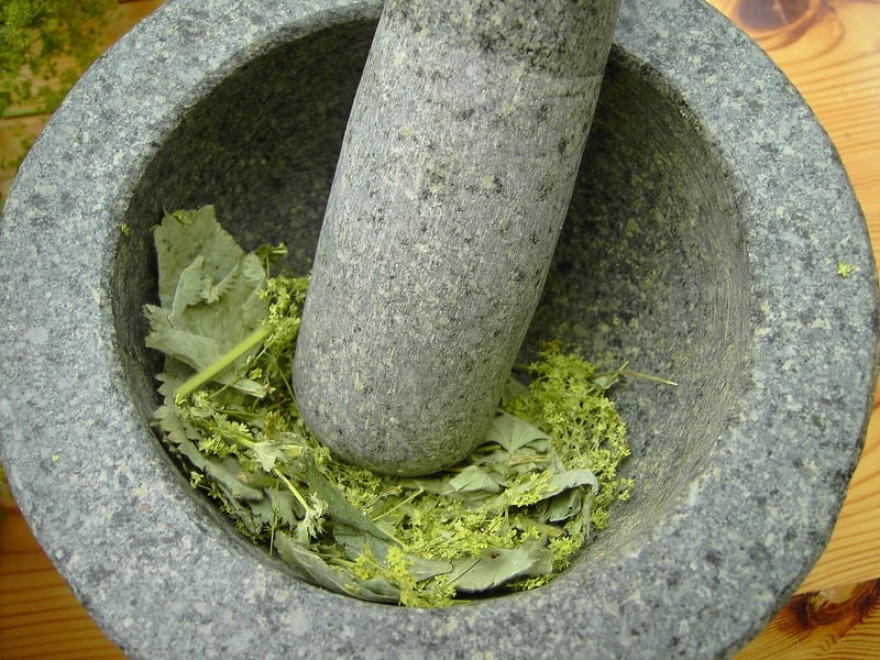 Plant Alchemy