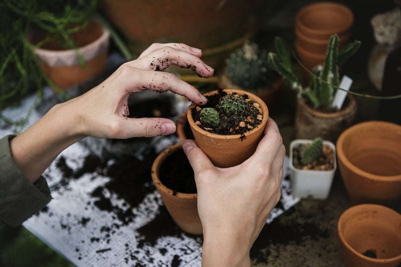 Zero Waste Gardening